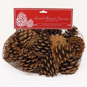 Holiday Scented Natural Pine Cone Bag 2 Pack NEW